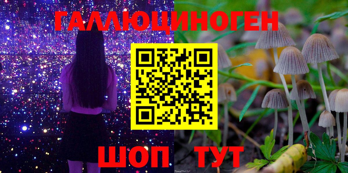 Орск  Галлюциногенные грибы MAGIC MUSHROOMS  Вход с VPN 